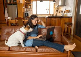 A Homeowner’s Guide to Raising Your First Dog